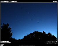 Ursa1